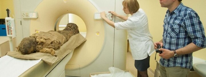 <a href="http://tv.delfi.lt/video/1FKUKYD0/">Mumijų kompiuterinės tomografijos tyrimų Vilniuje akimirkos</a>